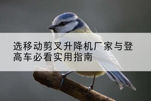乌尔禾电动升降机厂家-选移动剪叉升降机厂家与登高车必看实用指南