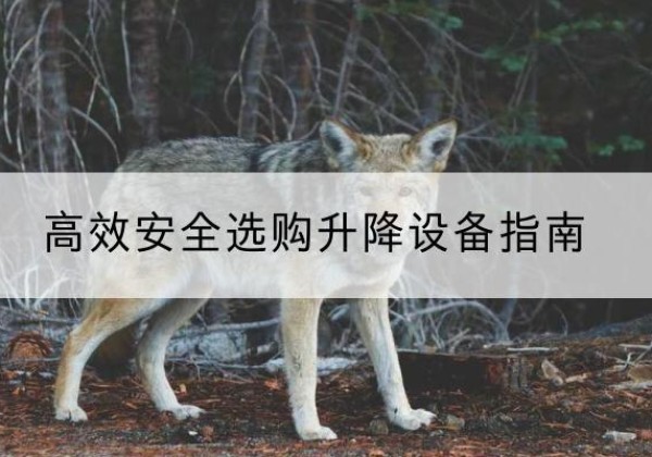 乌尔禾升降货梯厂家推荐-*安全选购升降设备指南