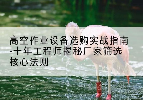 乌尔禾剪叉式升降机厂家-高空作业设备选购实战指南-十年工程师揭秘厂家筛选核心法则